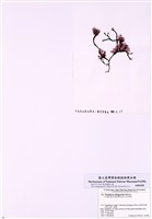 藏品(鐵釘紫菜)的圖片